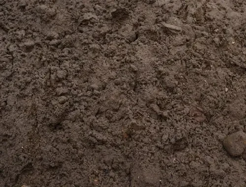 Sandy loam delivery for planting, grading, and landscape preparation