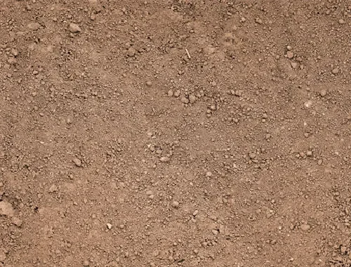 Topsoil delivery for landscaping, lawns, gardens, and planting areas